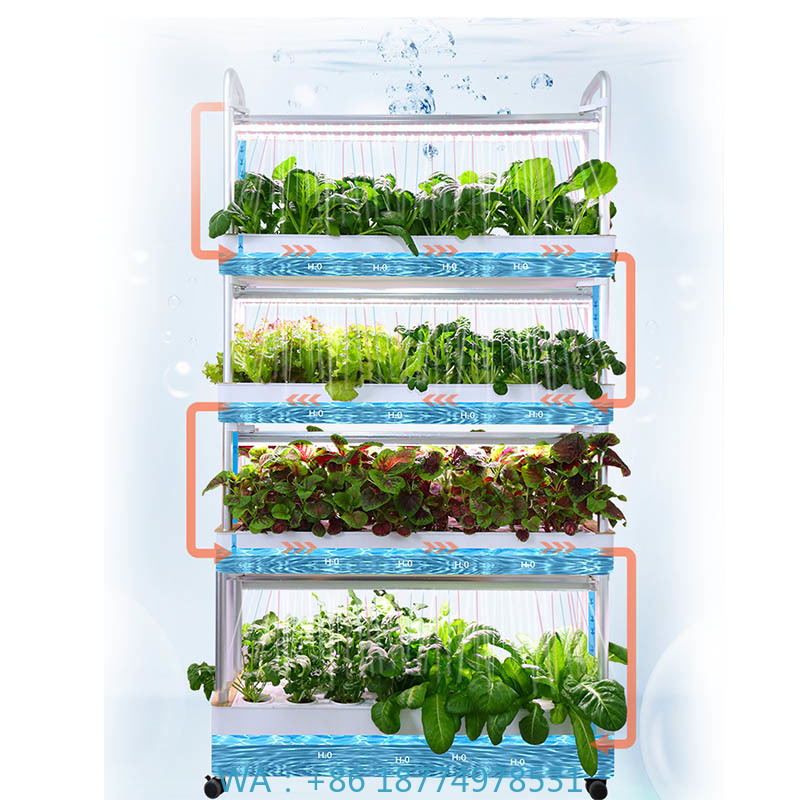 Smart Home Diy - Sistema de plantación ydroponic Sistema de