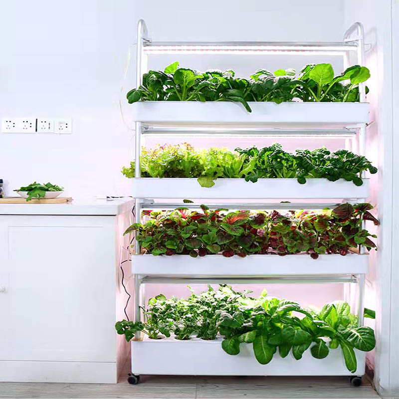 Sistema de plantación ydroponi - Smart Home Diy reseña y precio