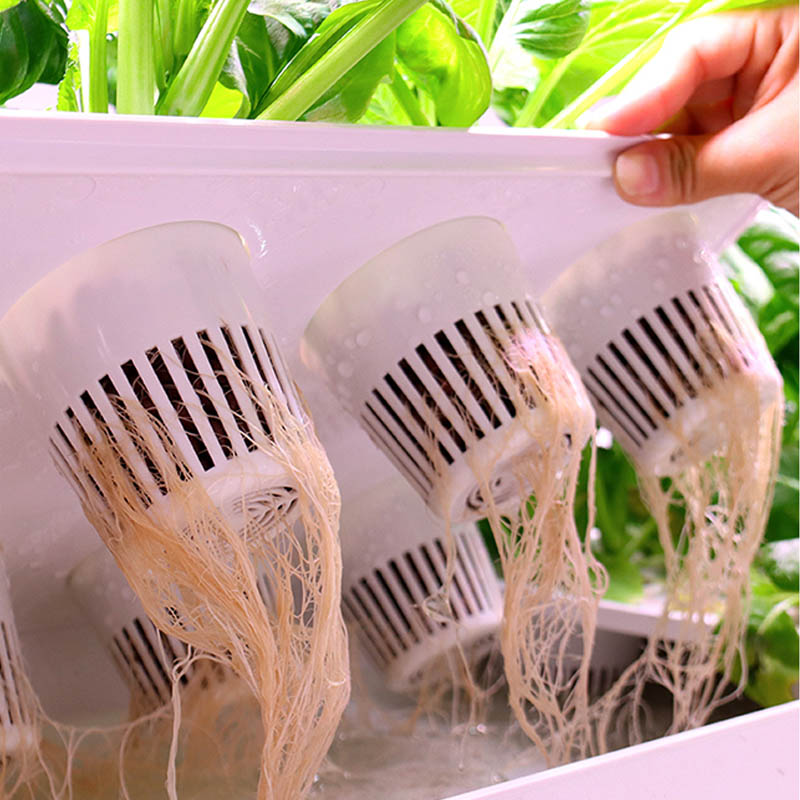 Sistema de plantación ydroponi - Smart Home Diy reseña y precio