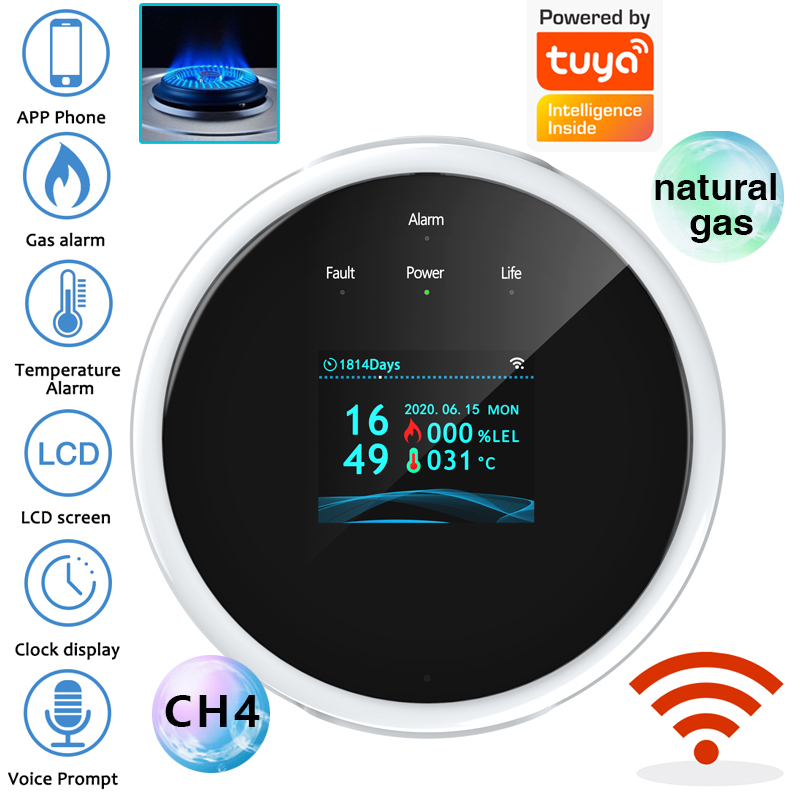 Sensor de alarma de gas WiFi 2 - Smart Home Full System reseña y precio